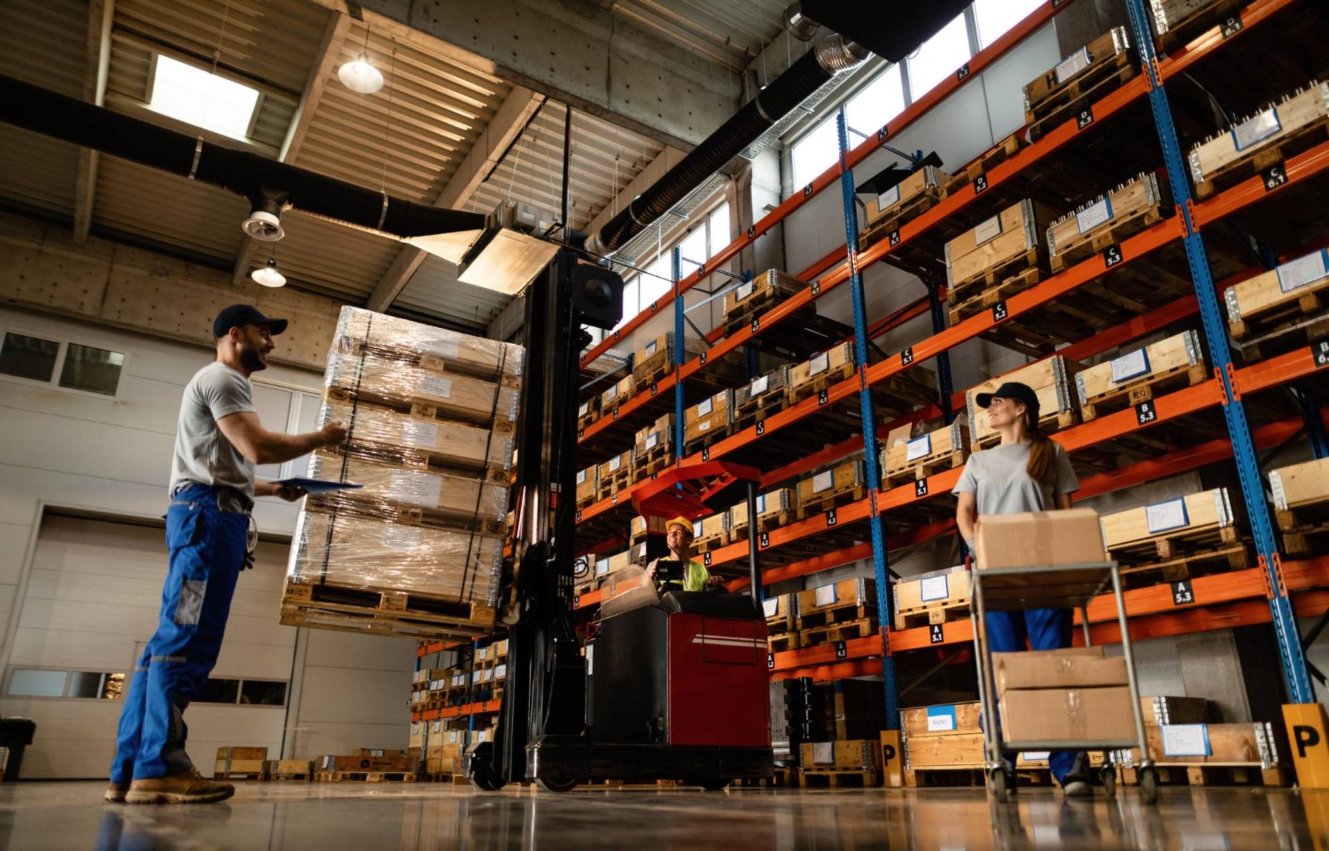 shipper warehouse
